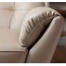 Parker Knoll Evolution Design 1703 Swivel Chair Close Up