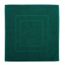 Christy Brixton Textured Shower Mat 60 x 60cm - Emerald