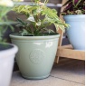 Kelkay Eden Emblem Green Planter