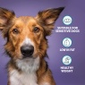 Burns Burns Weight Control Chicken & Oats Dog Food