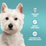Burns Burns Sensitive Duck & Brown Rice Dry Dog Food