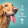 Burns Burns Toy & Small Breed Original Chicken & Rice Dry Dog Food