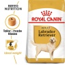 Royal Canin Labrador Retriever Adult 12Kg Dog Food Info