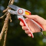 Wolf Garten RS5000 Professional Anvil Aluminium Secateurs In use