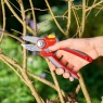 Wolf Garten RS4000 Anvil Secateurs in use