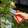 Wolf Garten RR2500 Bypass Secateurs in use