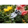 Darlac DP1036 Expert Drop Forged Pruner