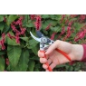 Darlac DP930 Small Bypass Pruner