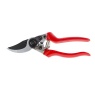 Darlac DP30 Professional Pruner