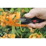 Darlac DP125 Deadheading Snip