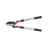 Darlac DP474 Telescopic Ratchet Lopper