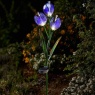 Smart Solar Crocus Solar Flower