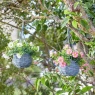 Smart Garden Basket Bouquets - Meadow