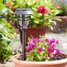 Smart Solar Avant Stake Light, 5pk