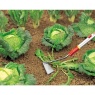Wolf Garten Multi-Change® 12cm Swoe Style Hoe