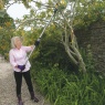 Ultralight Branch and Shrub Cutter