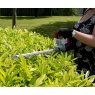 Webb WEV20HT 50cm 20V Cordless Hedge Trimmer With Battery & Charger