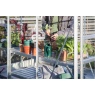 Vitavia Venus Aluminium Frame Greenhouse