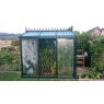 Janssens Helios Urban Victorian 180/25 Tempered Glass Greenhouse 5' x 8'