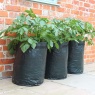 Haxnicks Patio Potato Planters x3