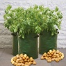 Haxnicks Patio Potato Planters x3