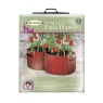 Haxnicks Patio Tomato Planters x2