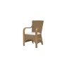 Daro Waterford Carver Dining Chair Natural Wash