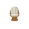 Dundee Swivel Rocker