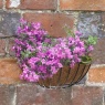 Smart Garden 16" Smart Wall Basket