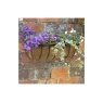 Smart Garden 24" Saxon Wall Trough