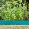 Smart Garden FlexEdge Green 1.2m