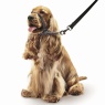 Beaphar Beaphar Gentle Leader Medium - Black