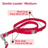 Beaphar Beaphar Gentle Leader Medium - Black