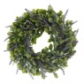 Smart Garden Lavender Whirl 40cm