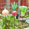 Smart Garden Veggies - Onion, Radish, Lettuce