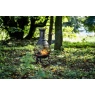 Woodlodge Bodmin Chiminea