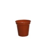 White Furze 10cm (4") Pots Set of 7 - Terracotta