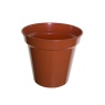 White Furze 31cm (12.5') Pot - Terracotta