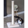 Zoon Pet Deluxe Scratch Post - 1m