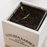 Unwins Homegrown Chilli Growing Kit