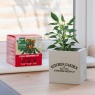 Unwins Homegrown Chilli Growing Kit