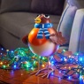 Smart Garden Rockin' Robin Large