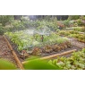 Gardena Start Set Micro-Drip-Irrigation Vegetable Bed/Flower Border Set (60 m?)