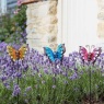 Smart Garden Bella Butterflies Stakes - Assortment