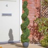 Smart Garden Topiary Twirl 120cm