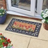 Smart Garden Blooms Decoir Insert 23 x 53 cm