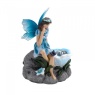 Smart Garden Fairy Spots Assortment