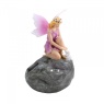 Smart Garden Fairy Spots Assortment