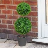 Smart Garden Duo Topiary Tree 60cm