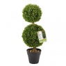 Smart Garden Duo Topiary Tree 60cm